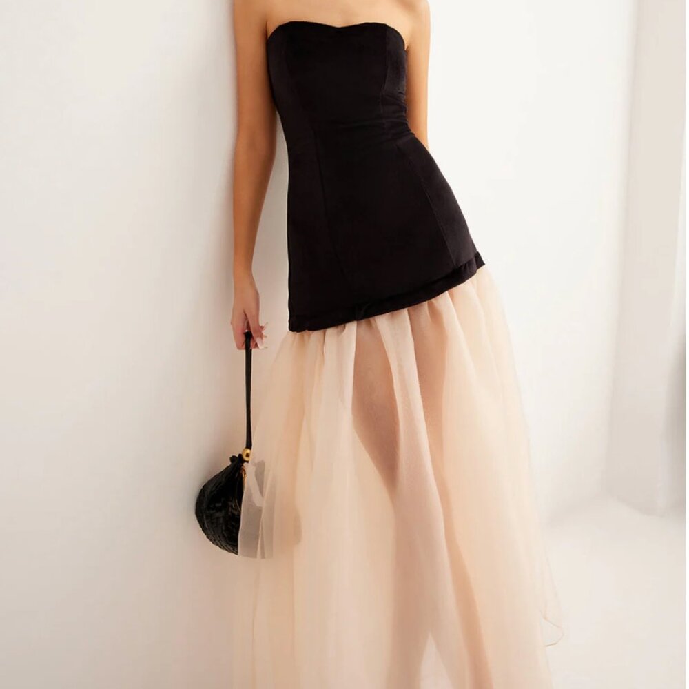 Velvet Panel Semi Sheer Mesh Tube Dress